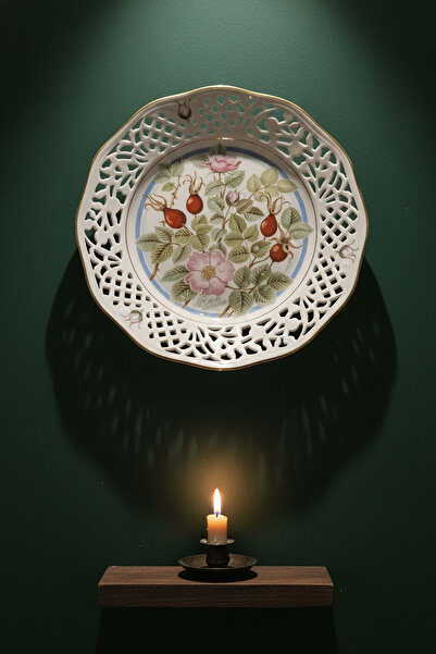 Bavaria Schumann Arzberg L. Helje Series 1881 Stamped Porcelain Wall Plate Rosehip 18.5 cm