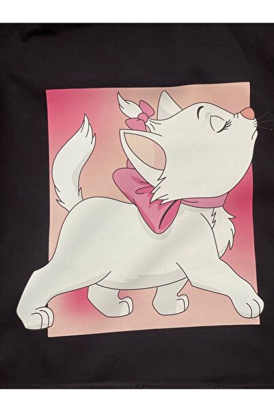 Gönülden Tasarım 20X21 CM APPLICAT DE PĂSĂRI DE GĂBĂȚĂ APLICAT DE TRANSPORTĂRI DE IMPRIMARE PATCH ARMĂ