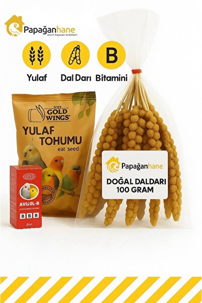 Papağanhane Kuş Tüyü Bakım Seti – Doğal Dal Darı + Yulaf Tohumu + B Vitaminli...