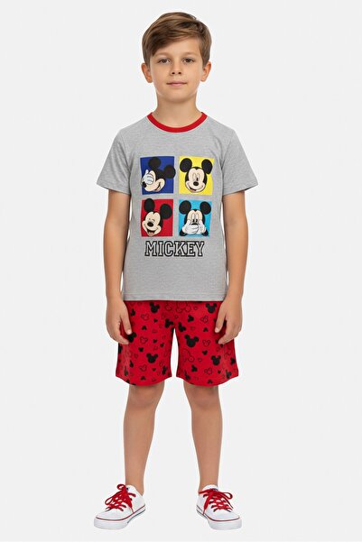 Disney Kids Boy Mickey And Friends 2 Pieces T-Shirt And Shorts Set, Multicolor