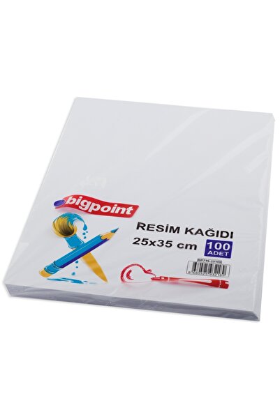 Bigpoint 120 Grams Painting Paper 25X35Cm Pack of 100