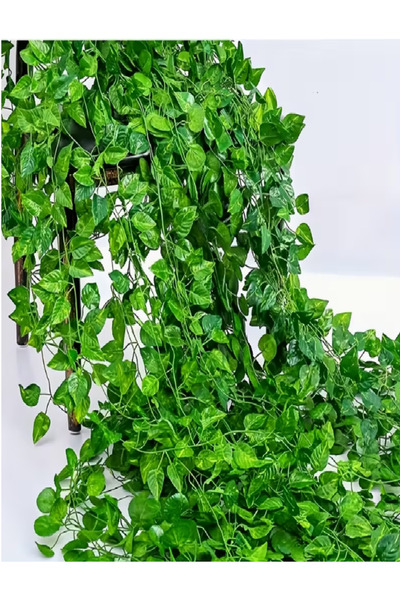 REPFORTR SERVİCE 5'li Yapay Sarmaşık Seti (100–110 cm) – İç Mekan Dekorasyon,...