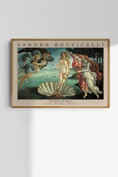 Taranist Çerçevesiz Poster Duvar Dekorasyonu Kalın Kuşe Dekoratif  Venüs'ün D...