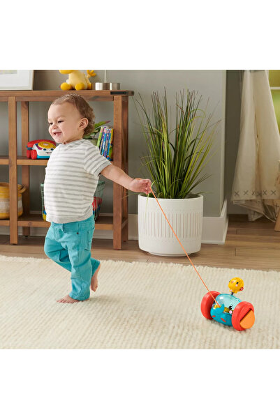 FISHER PRICE JUCARIE DE TRAS ELEFANTEL