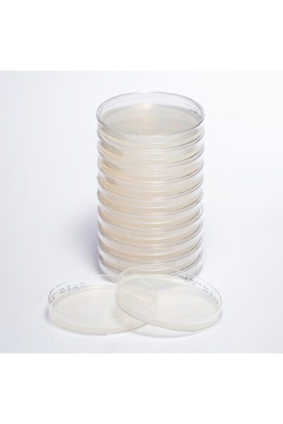 medexia Hazır Corn Meal Besiyeri