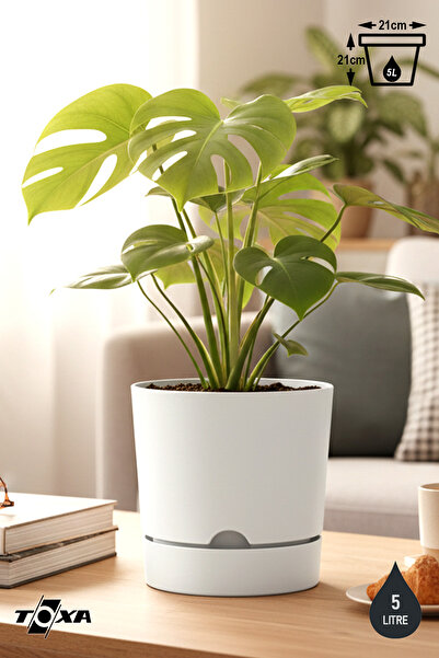 ToXA 5 Litre Beyaz Begonya Saksı Tabaklı Dekoratif Mat Plastik Saksı