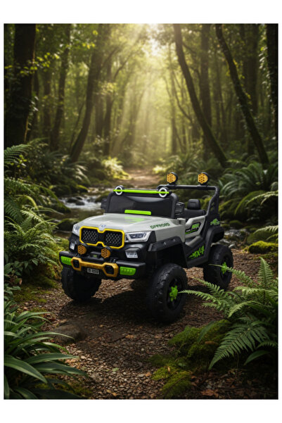 CAR Electric 4WD With 2Motors & 2Battery, RC 29-F684-GREY