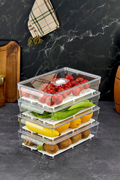 MİHEL Gloss AirControl 4'lü LARGE Süzgeçli Havalandırmalı Kapaklı Buzdolabı & Dolap İçi Düzenleyici