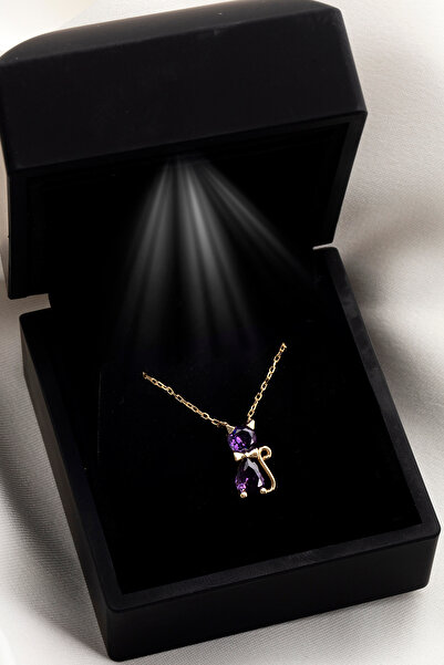 SARIASLAN Işıklı Kutuda Ametist Taşlı Sosyete Kedisi 925 Ayar Gümüş Kolye Gol...