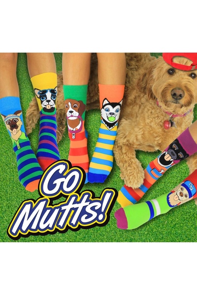 DUYAL Hn Socks Сет от цветни унисекс чорапи с сладък кучешки мотив (5 чифта) ...