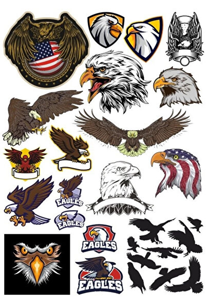 Reysa Tasarım مجموعة ملصقات Eagle Eagle - 17 قطعة مكونة من 17 قطعة للهاتف وال...
