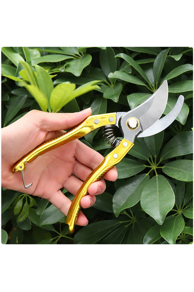 Fabrilux Professional garden shears 20 cm with steel blades, ideal for vineyards, flowers and branches