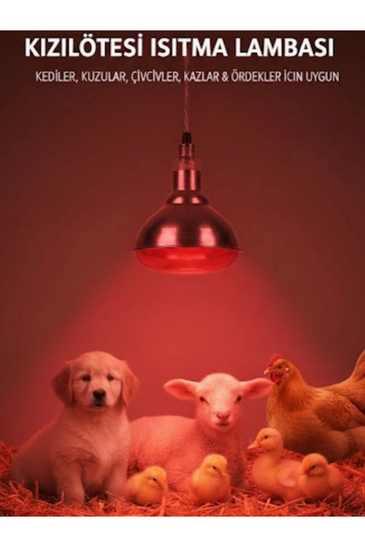 Evonest Infrared Kümes Isıtıcı Lamba 250W | Sadece Lamba