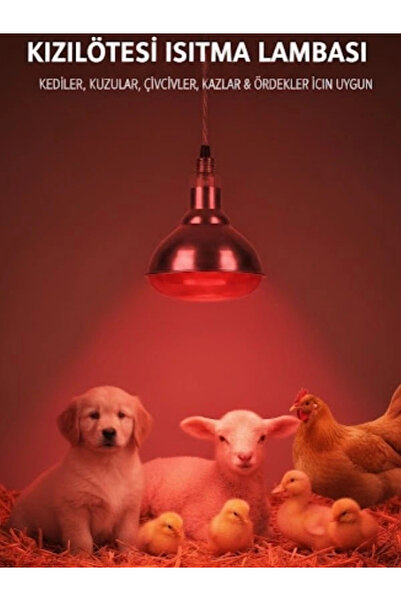 Evonest Infrared Ana Kucağı Isıtıcı Lamba 150W | Yüksek Performanslı