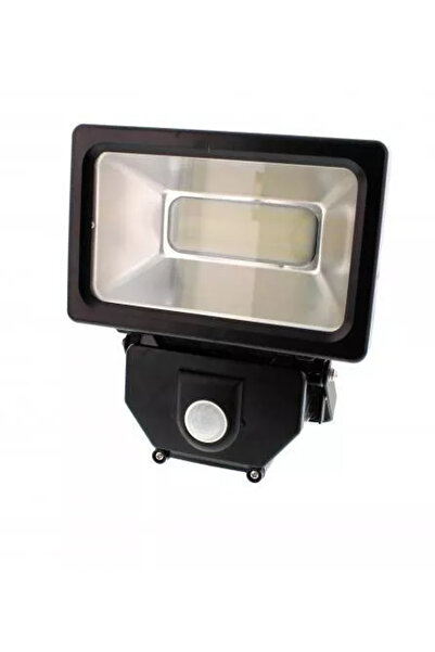 Well Proiector cu LED SMD 30W 1950lm IP44 4000K