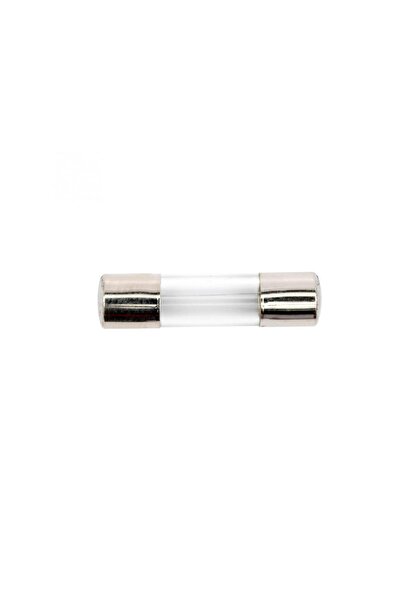 OEM Fuse 5x20mm Rapida F16A 250V