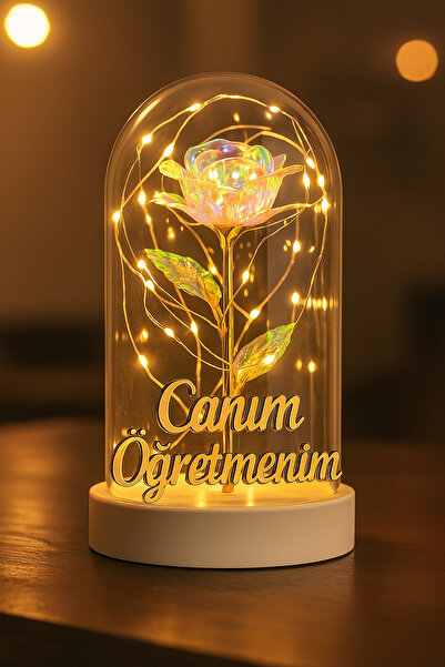 LUZAB Canım Öğretmenim Yazılı Led Işıklı Solmayan Güllü Gece Lambası fanus Dekor Süs
