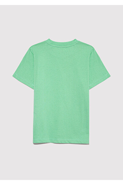 Mavi Logo Printed Green T-Shirt Regular Fit / Regular Cut 6610030-71789