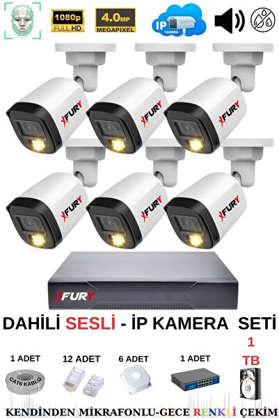 FURY Ip Güvenlik Kamera Seti 6 Kameralı Sesli 4mp Gece Renkli Su Geçirmez Ip5515s 1tb