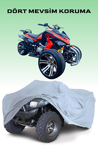 Breen بوموتو/جينلينج كوبرا RS 250CC ATV علامة تجارية مقاومة للماء - رمادي