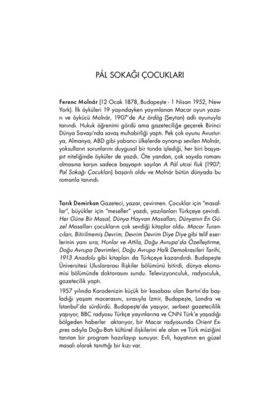 Yapı Kredi Yayınları Pal Sokağı Çocukları (KÜÇÜK BOY)