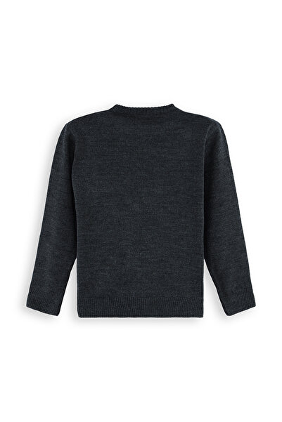 Denokids Animals Boy's Knitwear Sweater