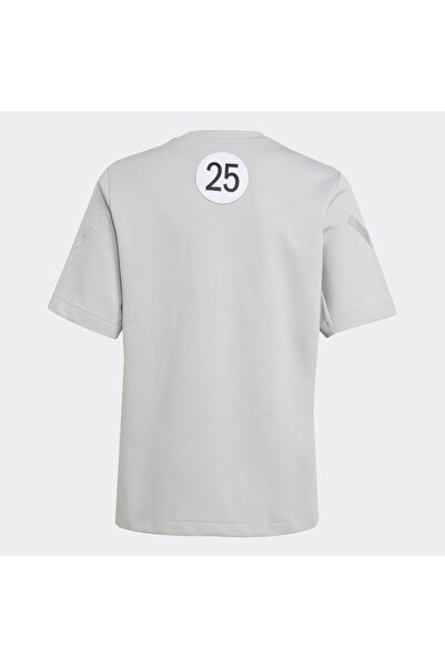 adidas Mercedes Amg Petronas Formula One Team Silver Arrows Kids T-Shirt