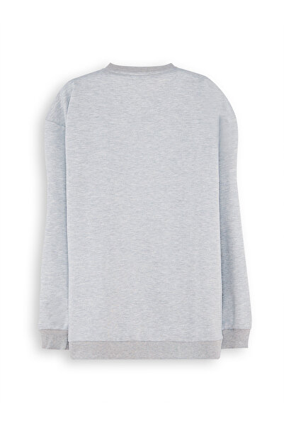 Denokids Roar Boy Gray Sweatshirt