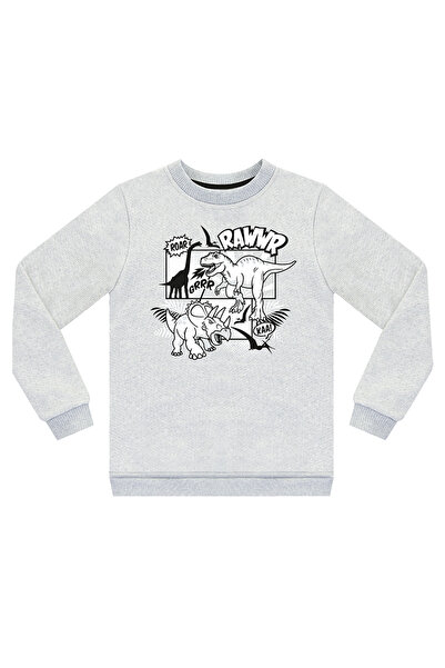 Denokids Boy's Grey Melange Rawr Dino Sweatshirt