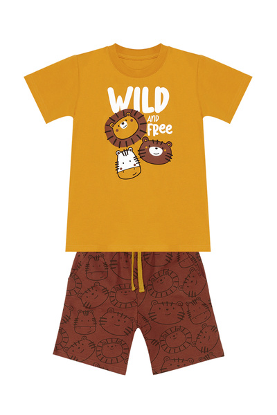 Denokids Boy's Summer T-shirt and Shorts Set - Wild