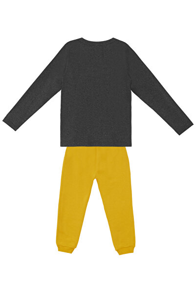 Denokids Boy's Be Wild T-shirt and Sweatpants Set