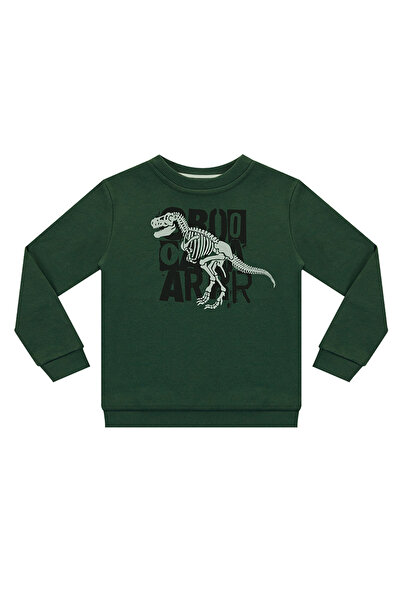 Denokids Boy's Khaki Roarr Dino Sweatshirt