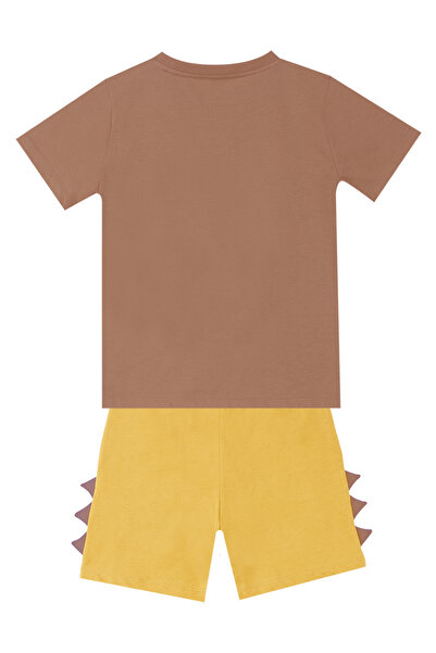 Denokids Boy's Dino Summer T-shirt and Shorts Set