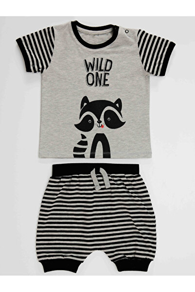 Denokids Raccoon Baby Boy T-shirt Capri Shorts Set