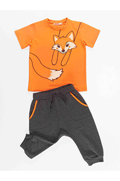 Denokids Orange Fox Boy's T-shirt Capri Shorts Set