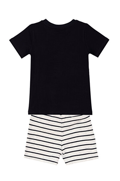 Denokids Raccoon Boy's T-shirt Shorts Set