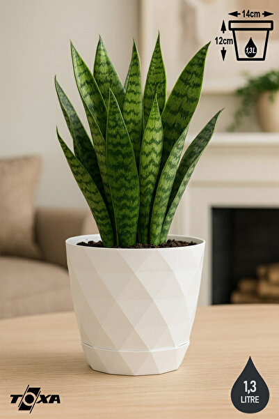 ToXA 1.3lt Ø14,5x12,5cm Baklava Desenli Tabaklı Dekoratif Plastik Saksı Yakam...