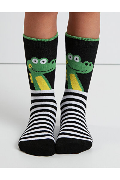 Denokids Kankalar Boy Socks Set of 2