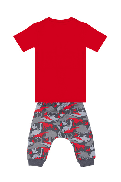 Denokids Dino Boy's T-Shirt Capri Shorts Set