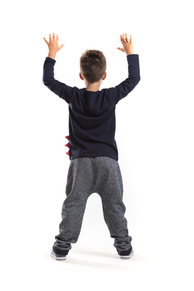 Denokids Dino Moe Boy's T-shirt Trousers Set