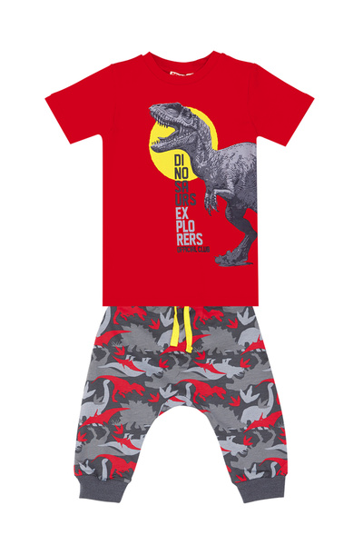 Denokids Dino Boy's T-Shirt Capri Shorts Set