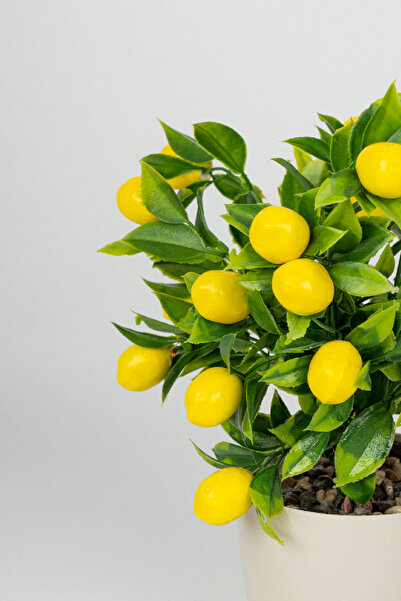 YAPAY ÇİÇEKÇİNİZ Artificial Lemon Tree in White Pot