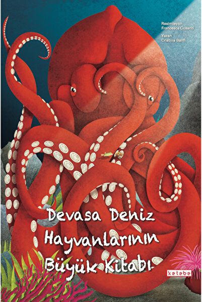 Ketebe Devasa Deniz Hayvanlarının Büyük Kitabı & Minik Deniz Hayvanlarının Kü...