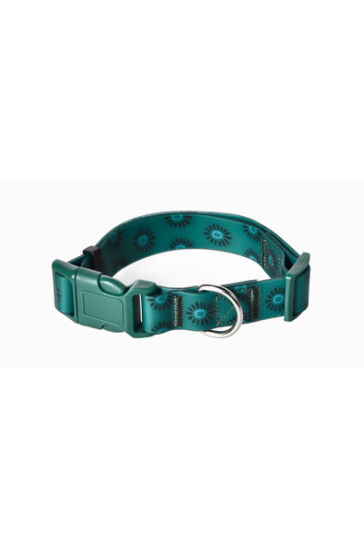 Pet Luxe Pvc Turquoise Dog Collar