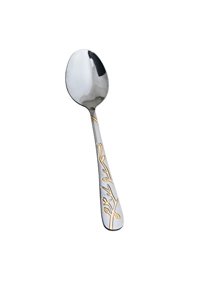 HIC 6-piece stainless steel spoon set