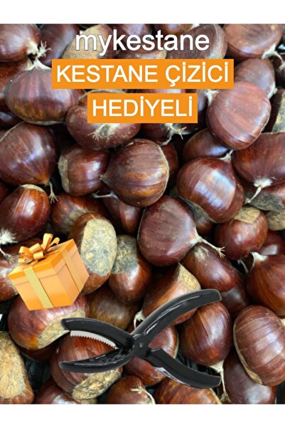 OrganikYemiş Aydın Büyük Boy Kestane (5 KG) Kestane Çizecek Hediyeli