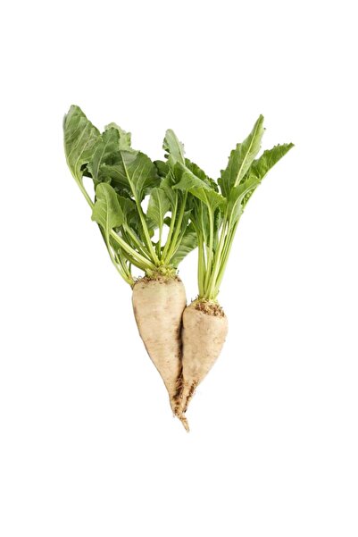 Sebze Meyve Dünyası Şeker Pancarı 3 Kg