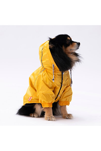 Pawstar معطف واق من المطر للكلاب الصغيرة من Pluvia باللون الأصفر