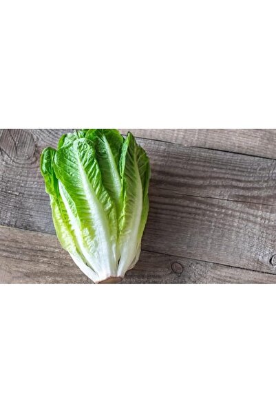 Genel Markalar Adet Parris Island Romaine Marul Tohumu