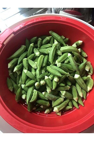 Genel Markalar Garden Doğal Japon Bamyası Tohumu 100 Ad. Tohum